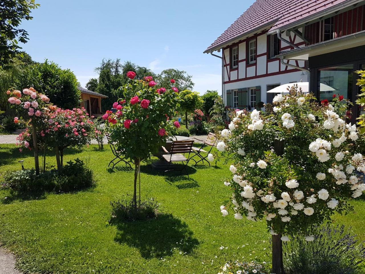 Landgut Apfelrose FDH Exterior foto